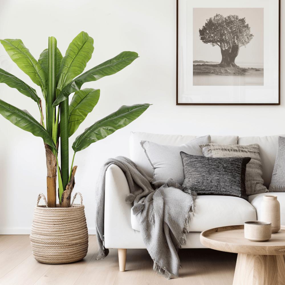 Artificial Plants & Trees
