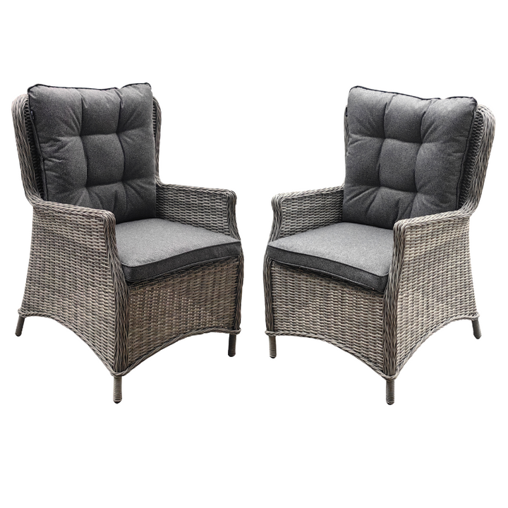 2x Savannah Premium Arm Chairs - Dark Willow