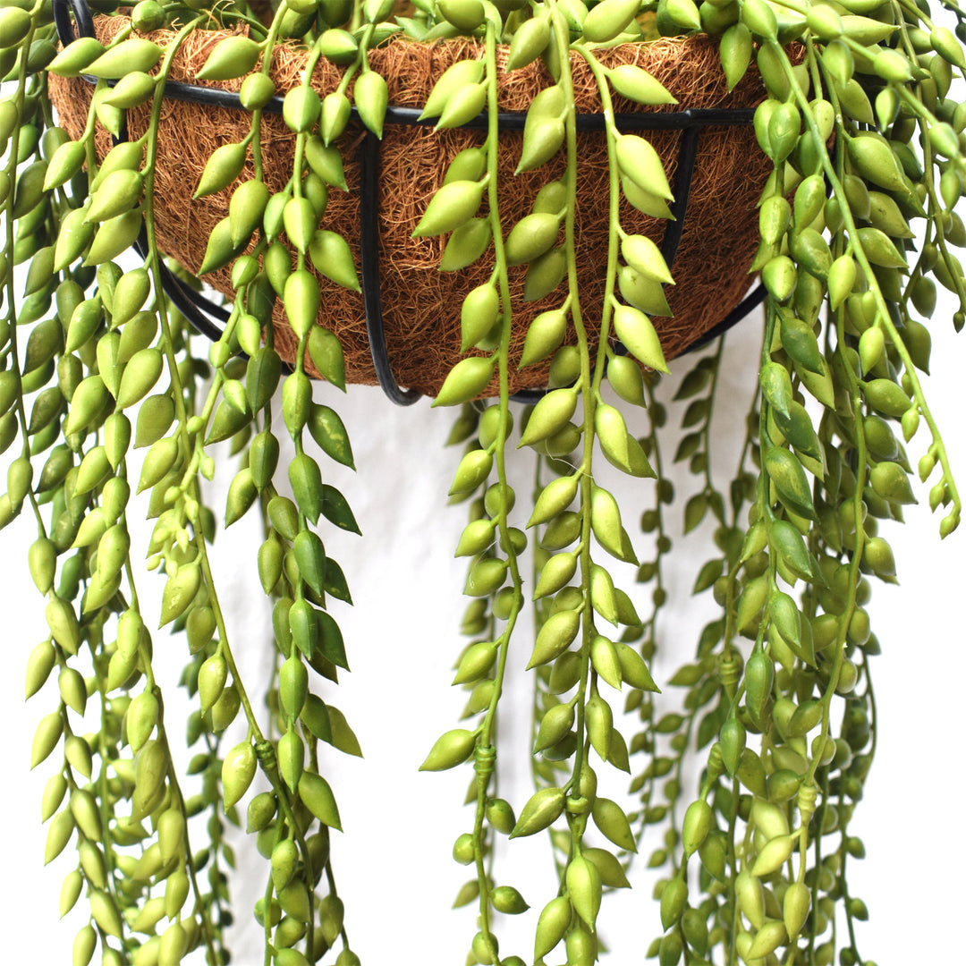 String of Pearls Hanging 100CM Length Outdoor Plant UV Protected