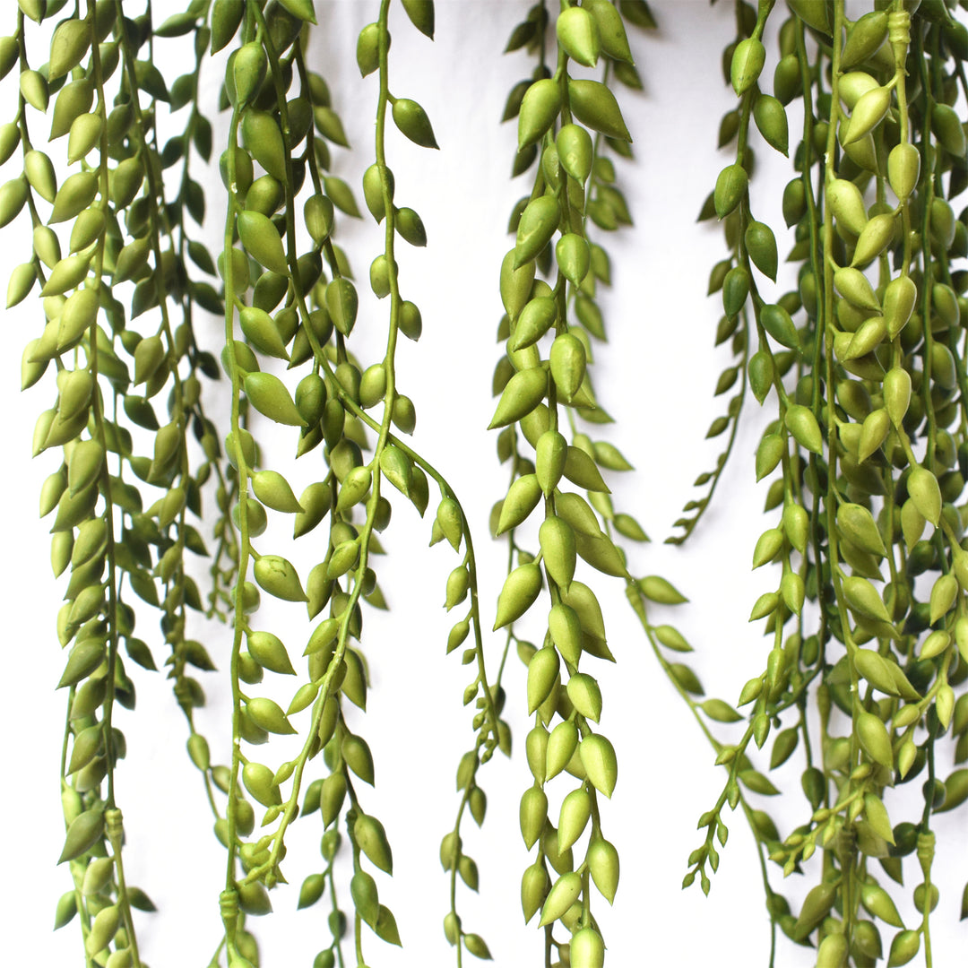 String of Pearls Hanging 100CM Length Outdoor Plant UV Protected