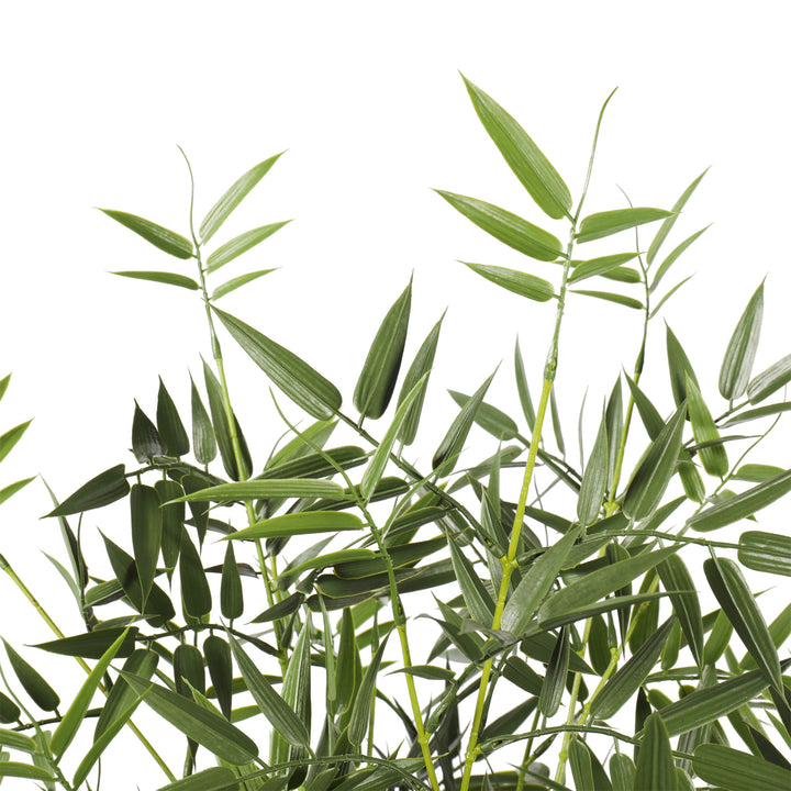Premium Artificial Outdoor Bamboo Plants PE Foliages 150CM UV Protected Outdoor/Indoor