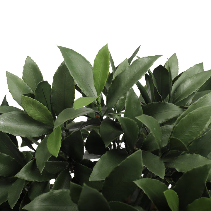 Artificial Bay Laurel Ball Tree 90cm / 30cm UV Protected Outdoor/Indoor