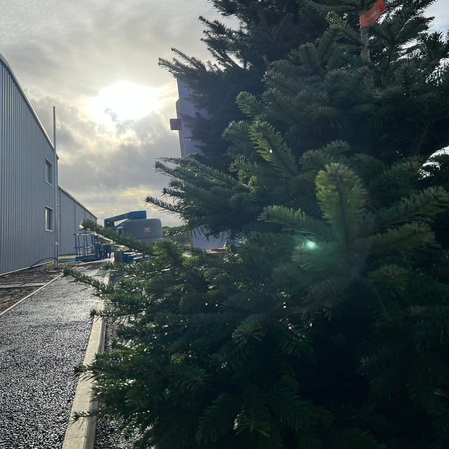 About Us Quality Outdoor Garden Furniture Suppliers in Whitstable, K