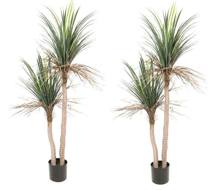 2x Artificial Yucca Plant Tree Double Trunk Green 160CM UV Protected Outdoor/Indoor