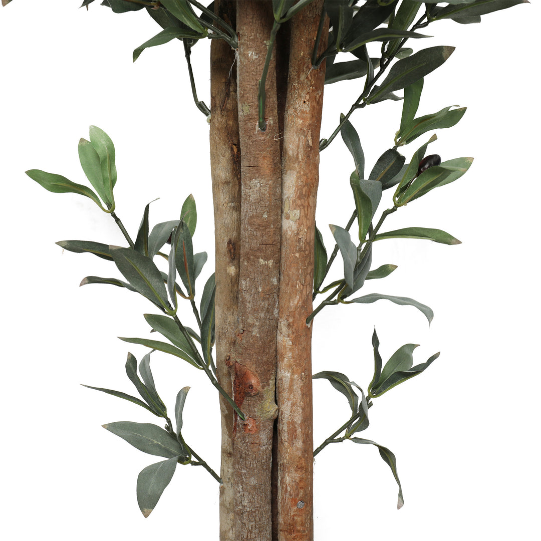 2x 180cm Wood Trunk Olive Tree with Pot