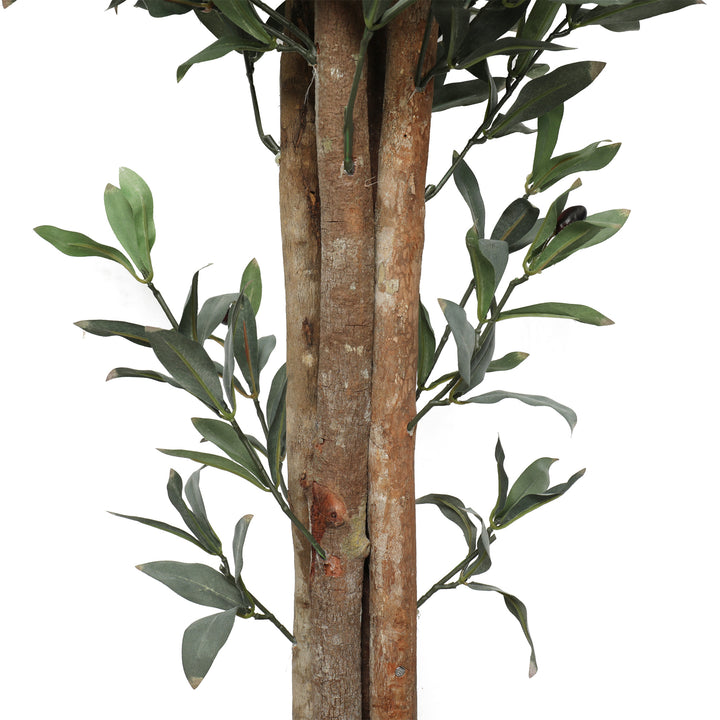 2x 180cm Wood Trunk Olive Tree with Pot