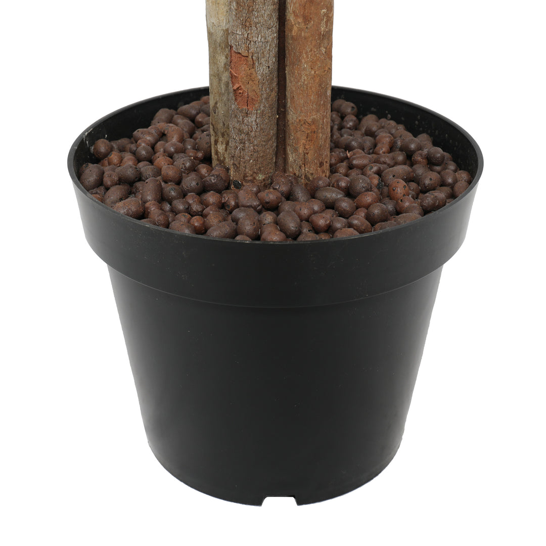2x 180cm Wood Trunk Olive Tree with Pot
