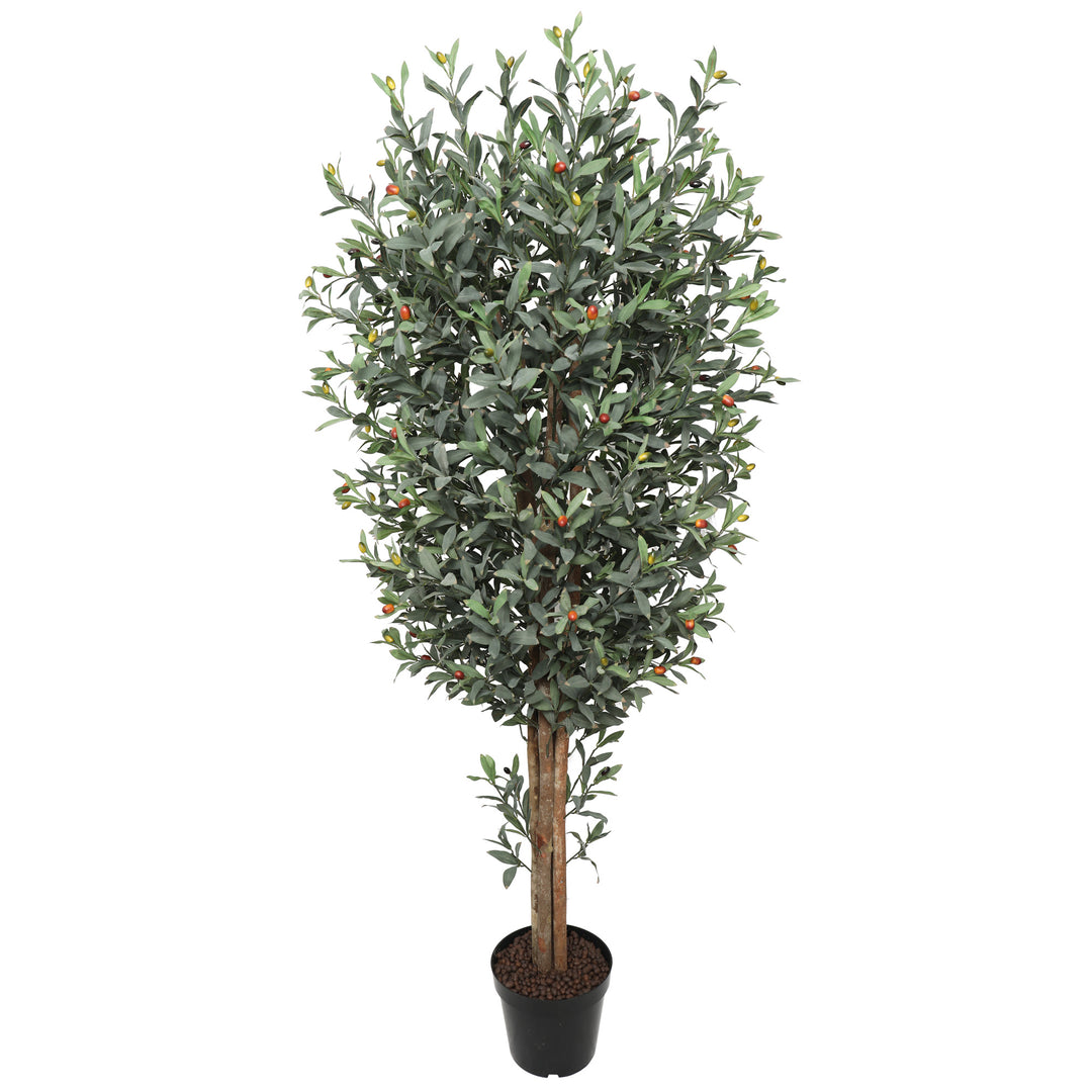 2x 180cm Wood Trunk Olive Tree with Pot