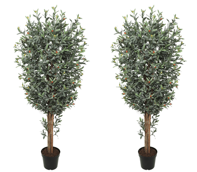 2x 180cm Wood Trunk Olive Tree with Pot
