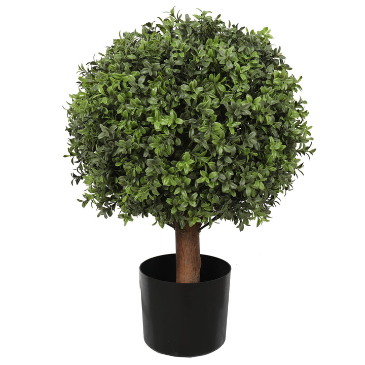 Buxus Ball Tree with Short Trunk 65cm / 40cm UV Protected Outdoor/Indoor