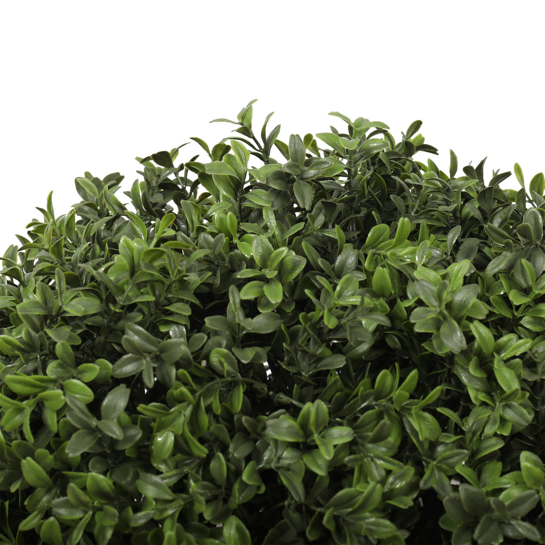 Buxus Ball Tree with Short Trunk 65cm / 40cm UV Protected Outdoor/Indoor