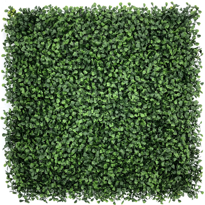 Boxwood Double Green Artificial Plant Wall Tile - 50cm x 50cm - UV Resistant Outdoor / Indoor