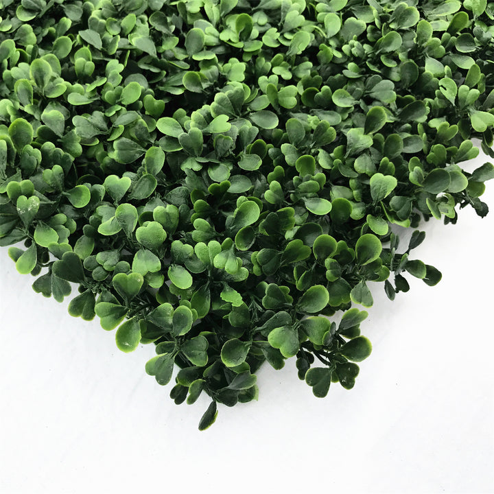 Boxwood Double Green Artificial Plant Wall Tile - 50cm x 50cm - UV Resistant Outdoor / Indoor
