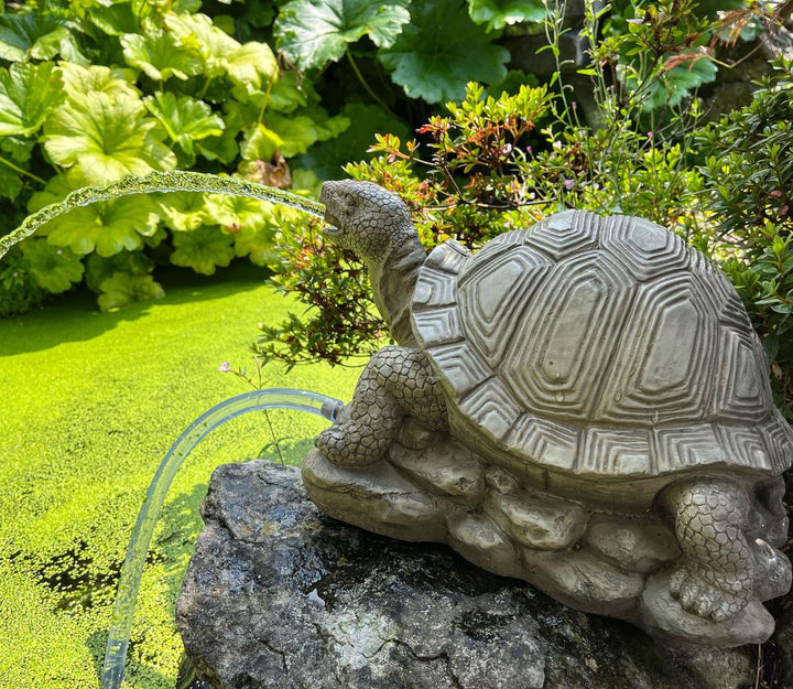 Bermuda Turtle Pond Spitter Water Feature