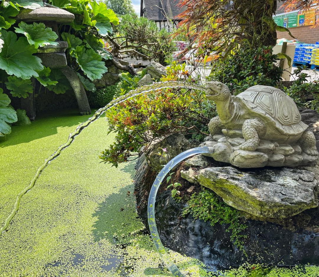 Bermuda Turtle Pond Spitter Water Feature