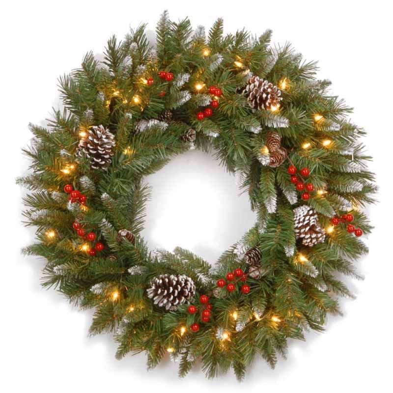 Frosted Berry 20" Wreath 50 Warm White LED