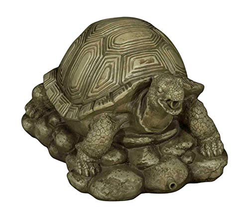 Bermuda Turtle Pond Spitter Water Feature
